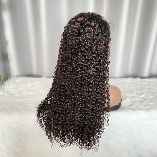 HD 5x5 Lace Closure Wig Jerry Curly Human Hair Dark Brown